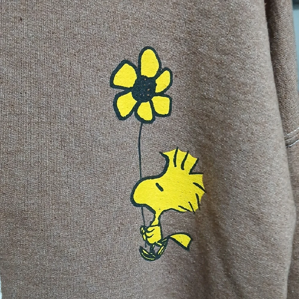 Peanuts Brown Hoodie with Woodstock Graphic - Picture 6 of 6